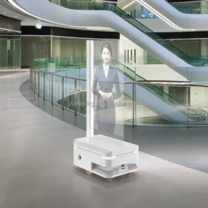 Interactive 55 Inches Transparent Oled Smart Robot Digital Person AI Digital Person OLED Intelligent Digital Display